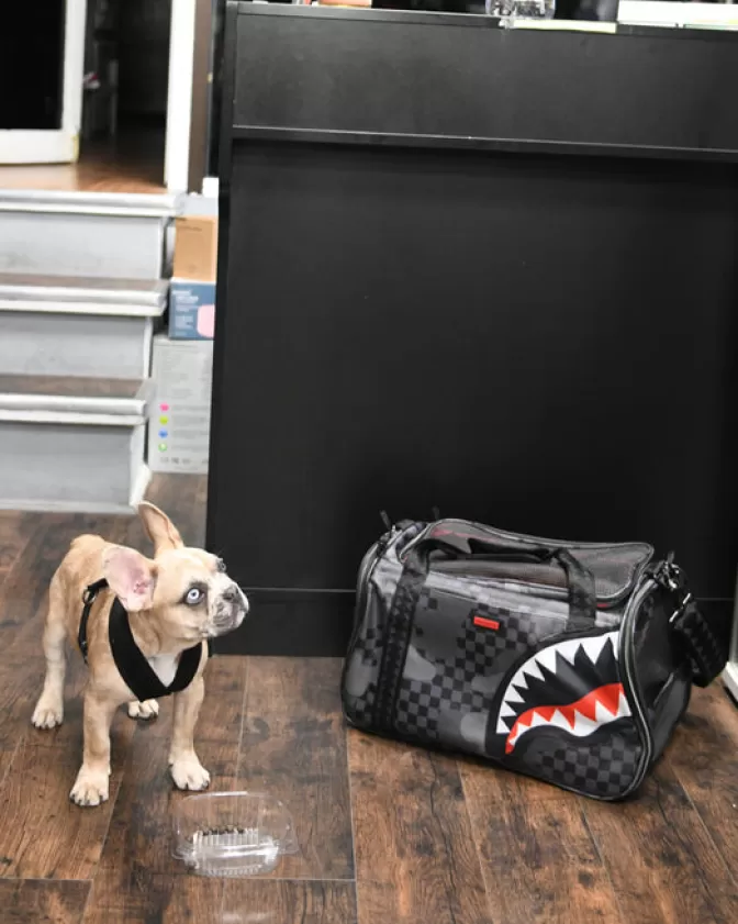 Sprayground PET CARRIERS*3AM PET CARRIER